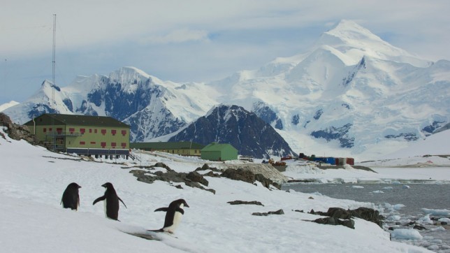 Rothera Research Station and Mount Gaudry Adelie penguins at the Rothera Research Station with Mount Liotard