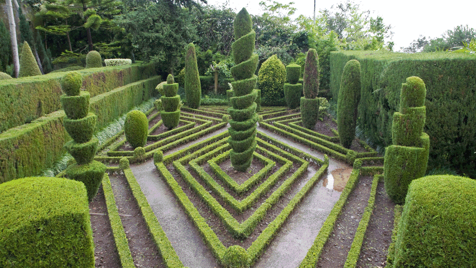 2 hedges IS0998RT2