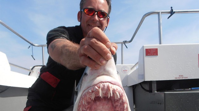 Holding a shark's head whilst shark fishing by Vincent Starr