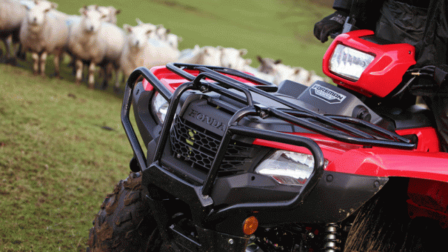 Honda TRX420 ATV on sheep farm