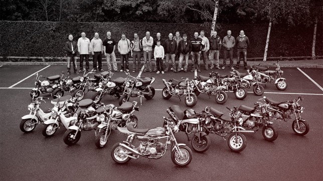 Monkey bikes by Sam Christmas